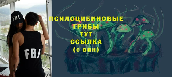 прущий лед Аркадак