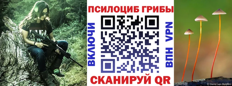 Псилоцибиновые грибы мицелий  shop клад  Приморско-Ахтарск  наркошоп 